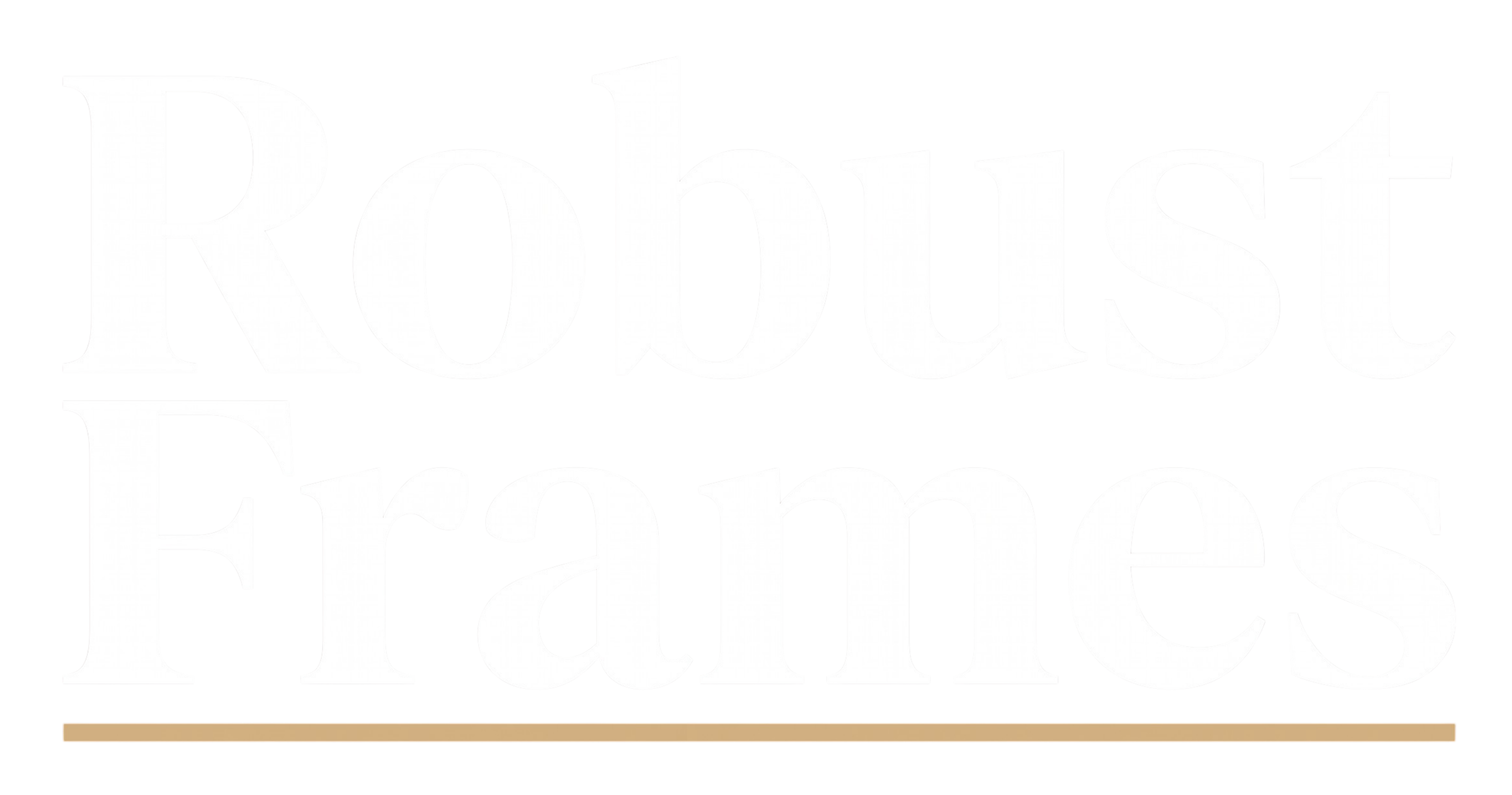 Robust Frames
